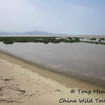 Minjiang Estuary